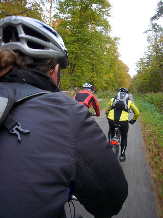 Fahrt durch den Hardtwald