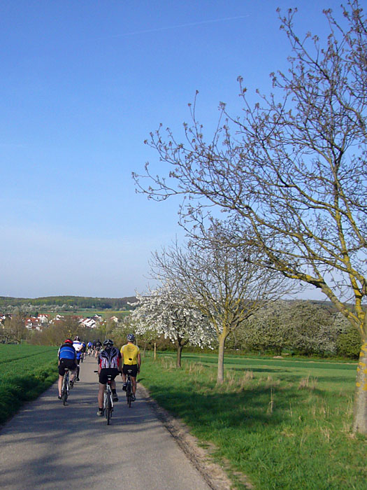 Tolle Frühlingslandschaft