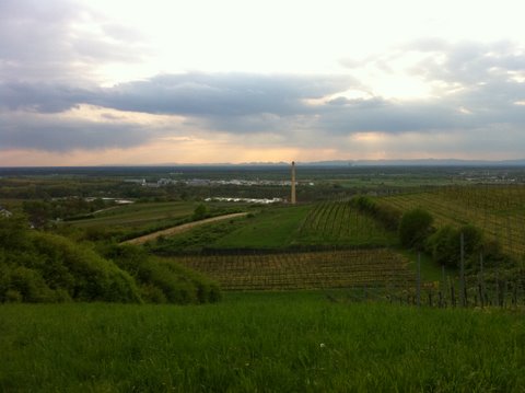 Blick vom Letzenberg ins Rheintal
