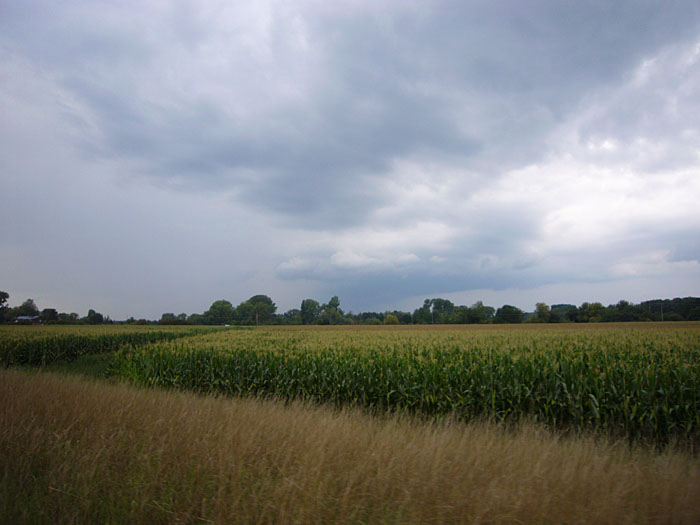 Gewitterwolken drohen uns :-(