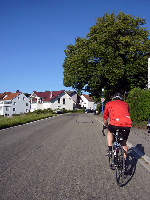Albert in Schöllbronn