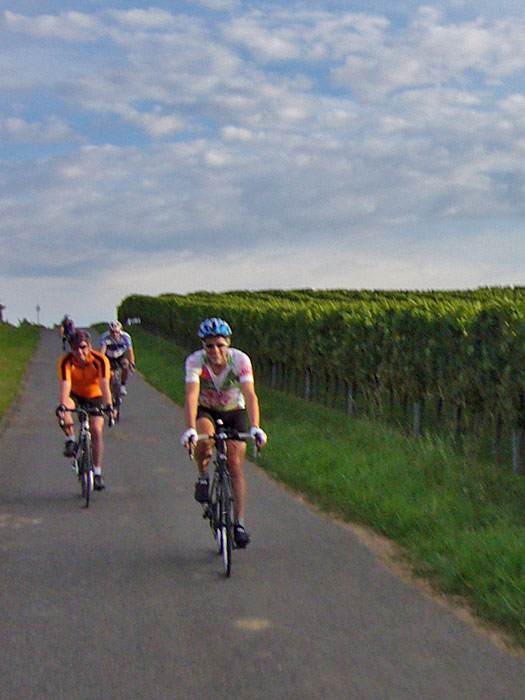 Unscharfe Bande in den Weinbergen