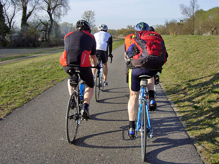 Auf dem Rheindamm