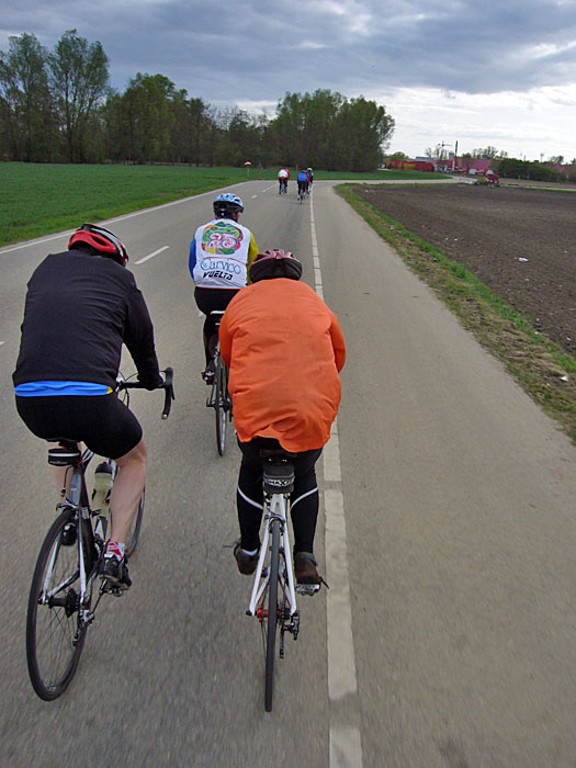 Durchs Tiefgestade