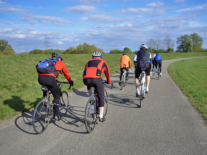 Auf dem Rheindamm nach Berg