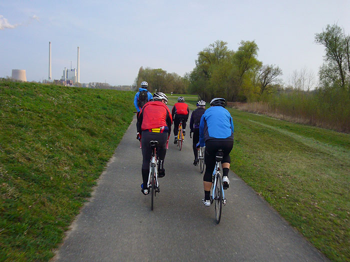 Auf dem Rheinradweg
