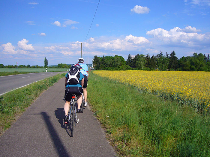 Fahrt durch den Sonnenschein