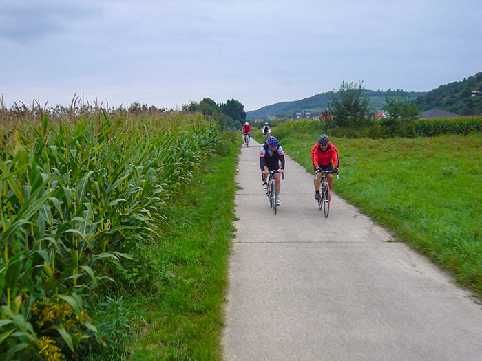 Durch's Weingartner Moor