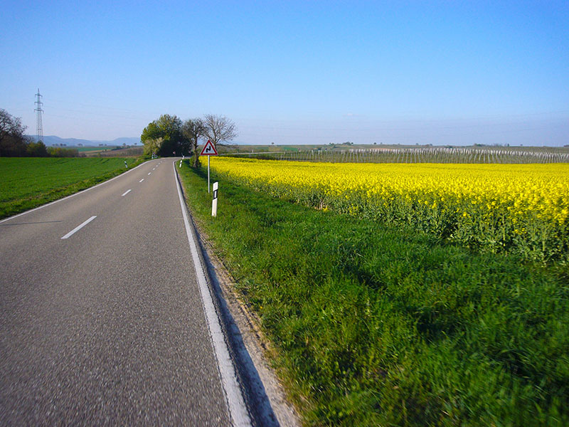 Blau, grün und gelb sind die vorherrschenden Farben
