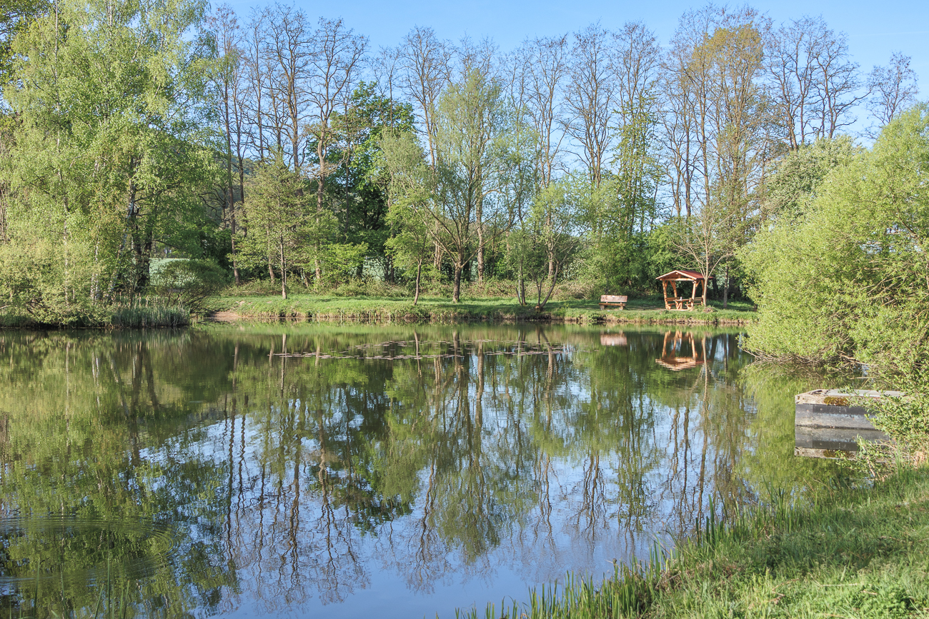 Am G&auml;nseweiher bei Limbach
