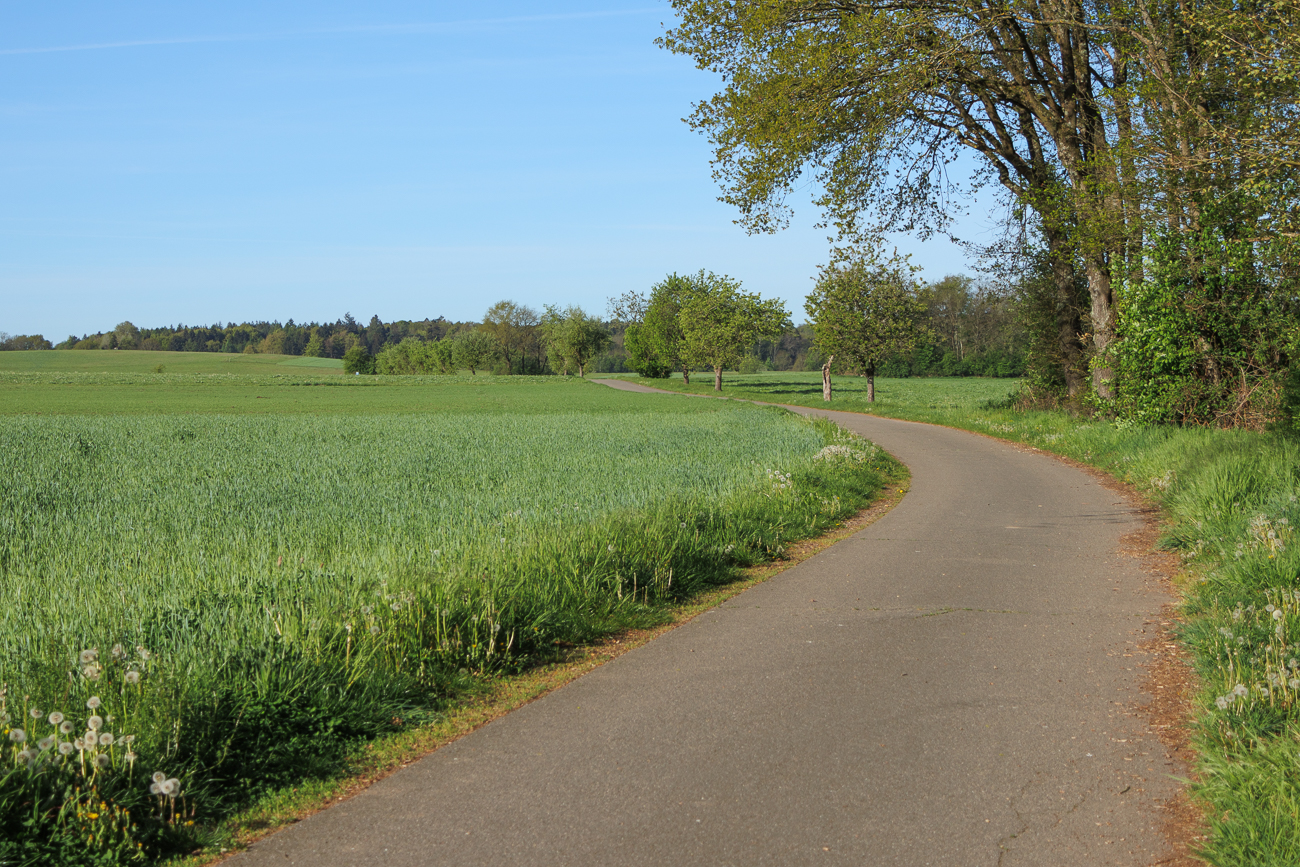 Sch&ouml;ner Wirtschaftsweg zwischen den Feldern