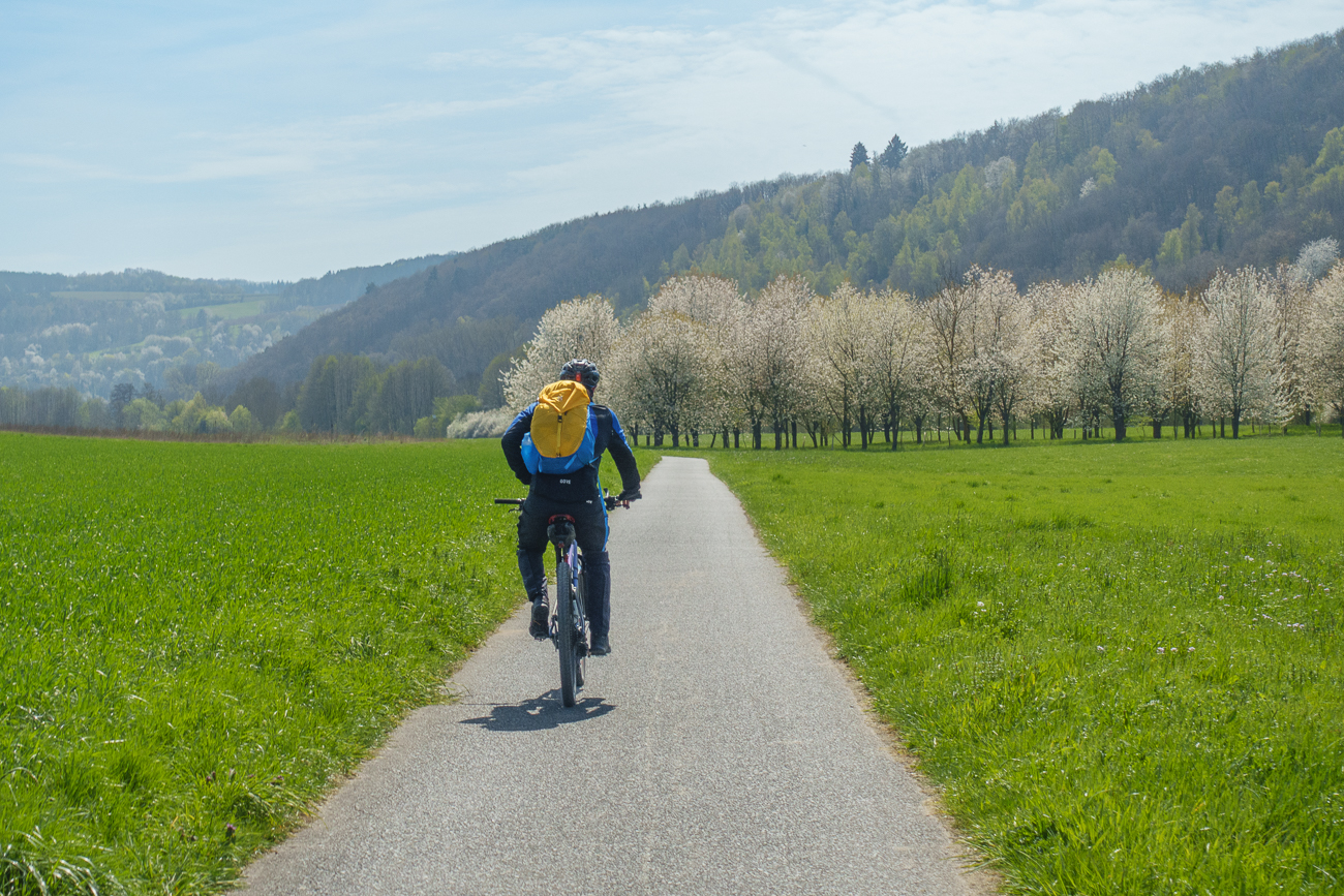 Die bl&uuml;henden B&auml;ume ...