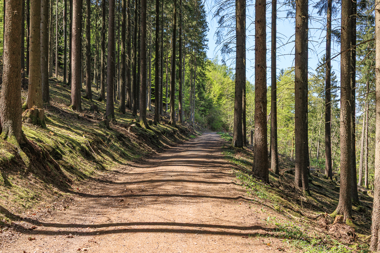 Hier verlasse ich den Naheradweg und wende mich gen S&uuml;den