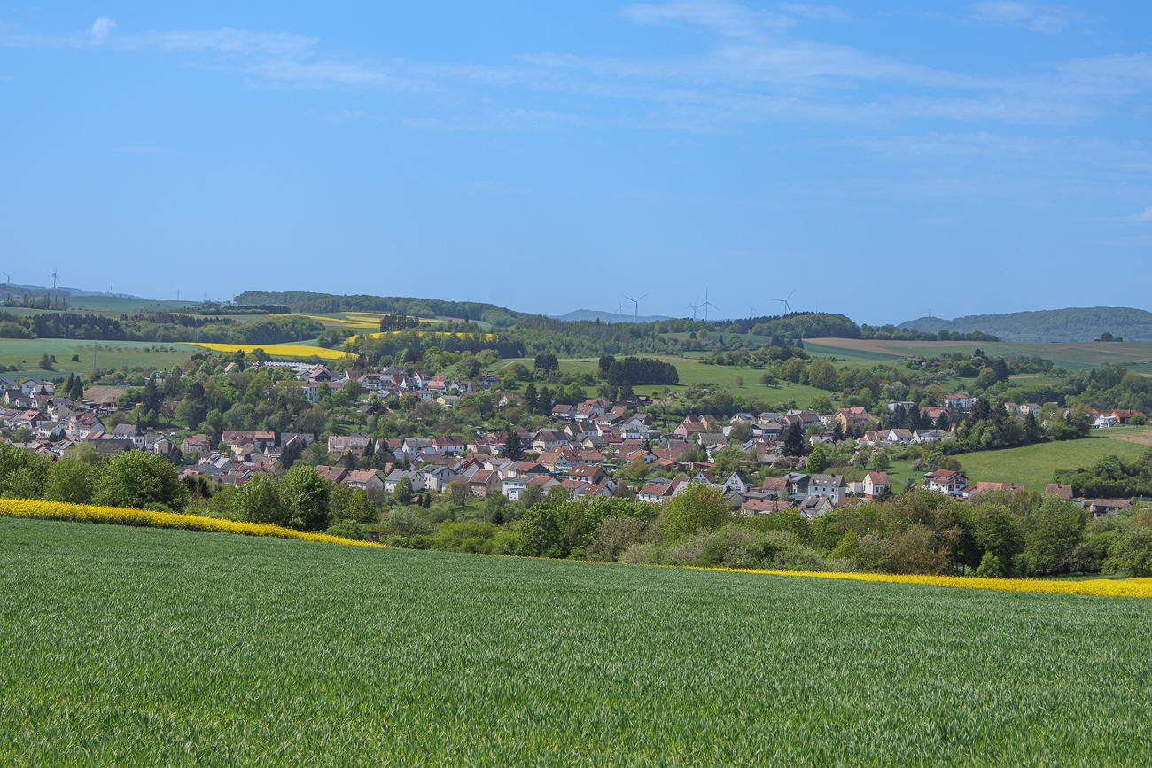 Blick Richtung Tholey