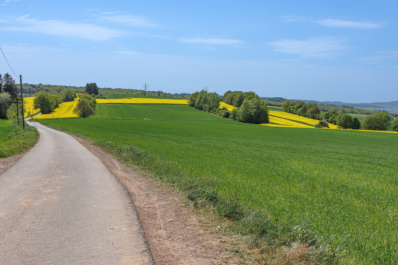 Fahrt Richtung Marpingen