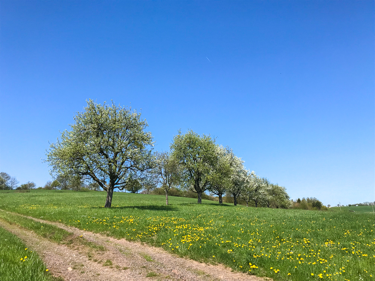 Hier geht es steil bergauf