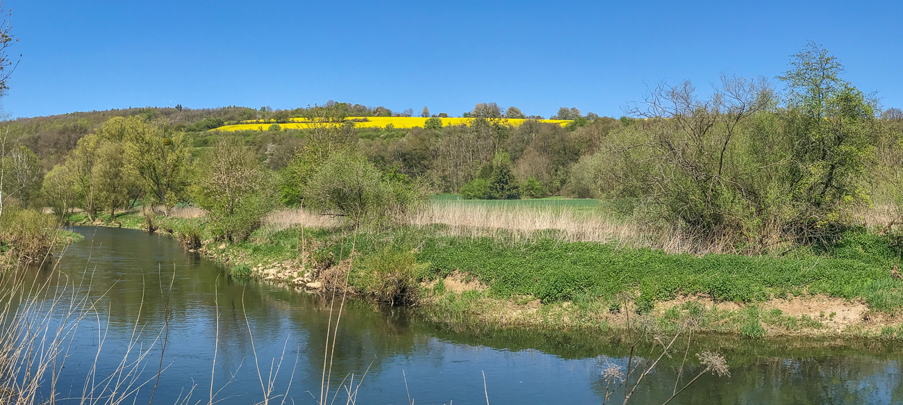 Leuchtender Raps oberhalb des Fl&uuml;sschens