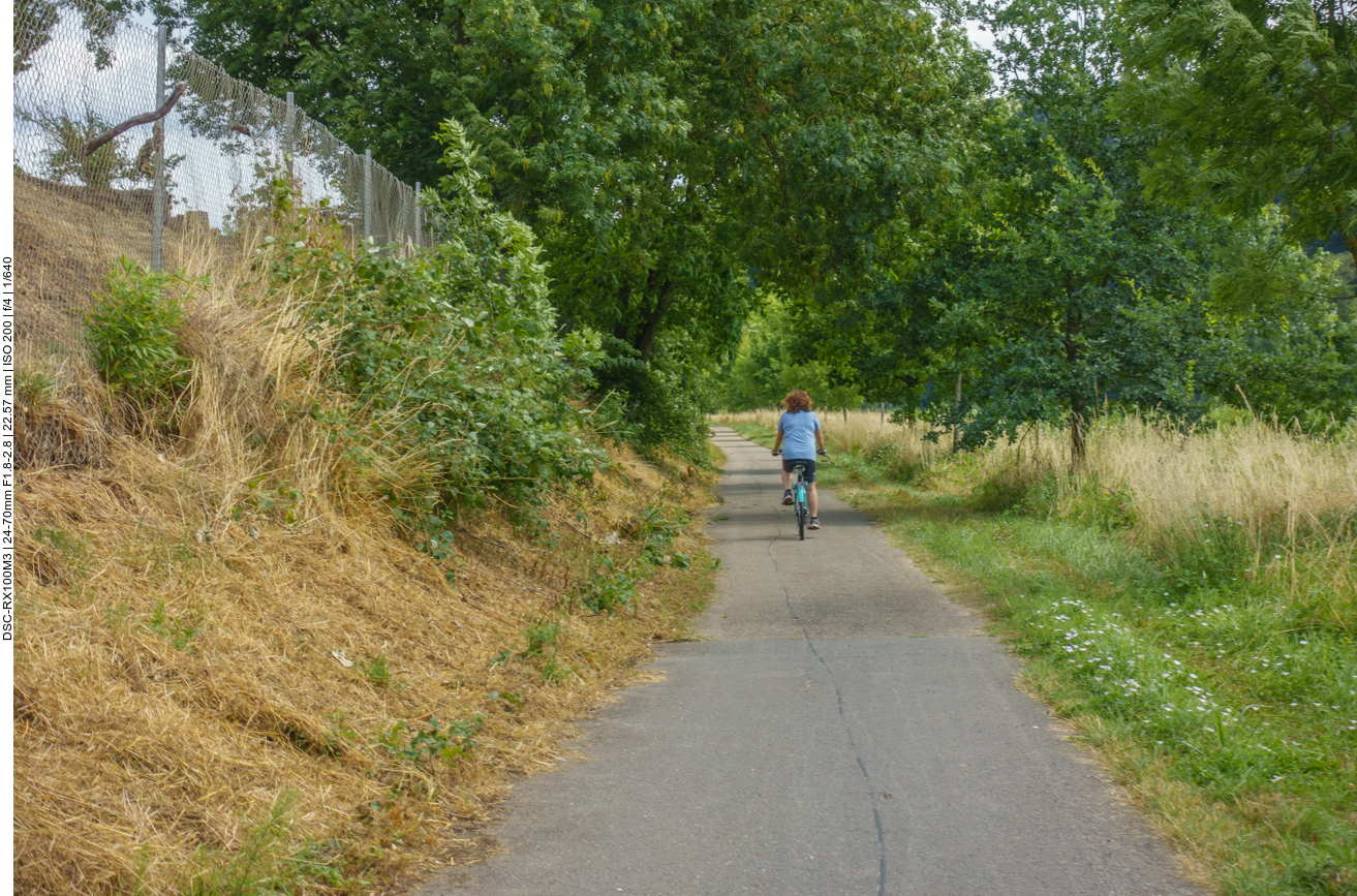 Hier geht es mal wieder etwas bergab 