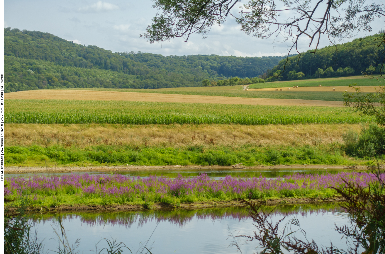 Farbenpracht auf der Sauer-Insel 