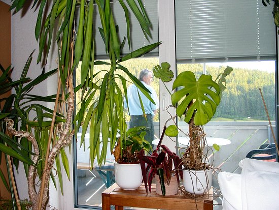 Ernst pinkelt vom Balkon herunter - sieht natürlich nur so aus ;-)