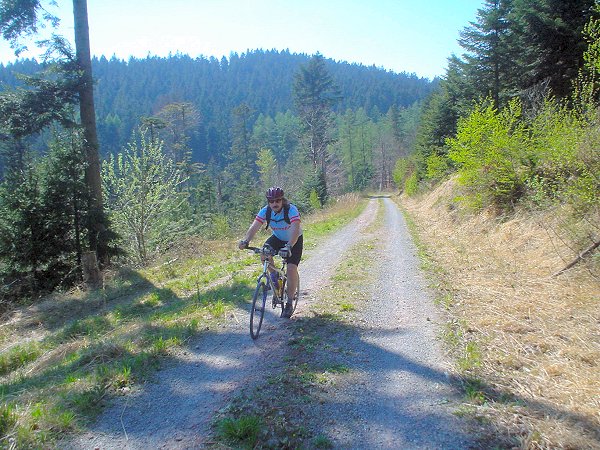 Nordschwarzwald 2007