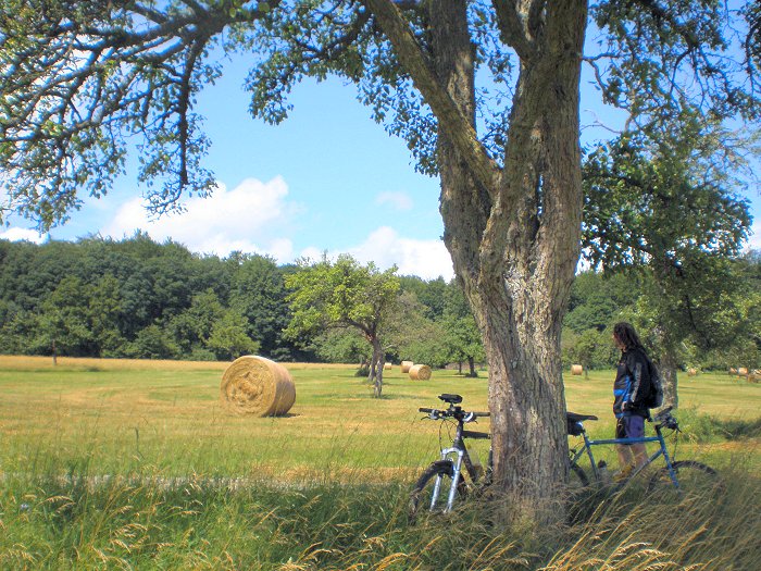 Landschaft pur