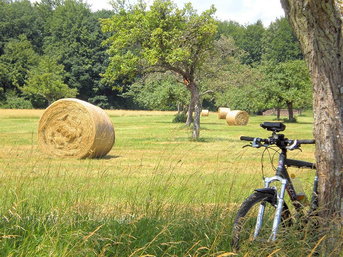 Stilleben mit Fahrrad