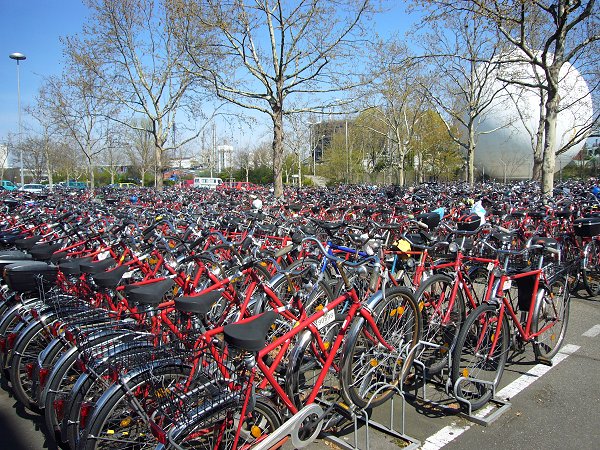 Erste Rast nach ca. 50 km in Germersheim