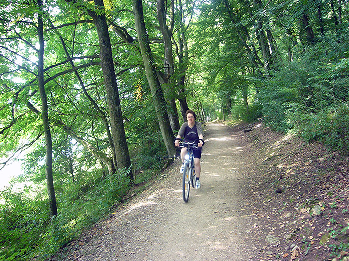 Waldweg an der Altmühl