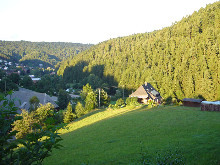 Das Moosmannsche Haus