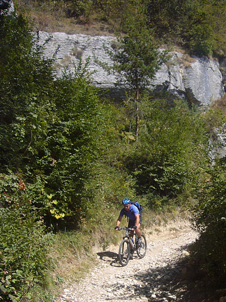 Steiniger Weg