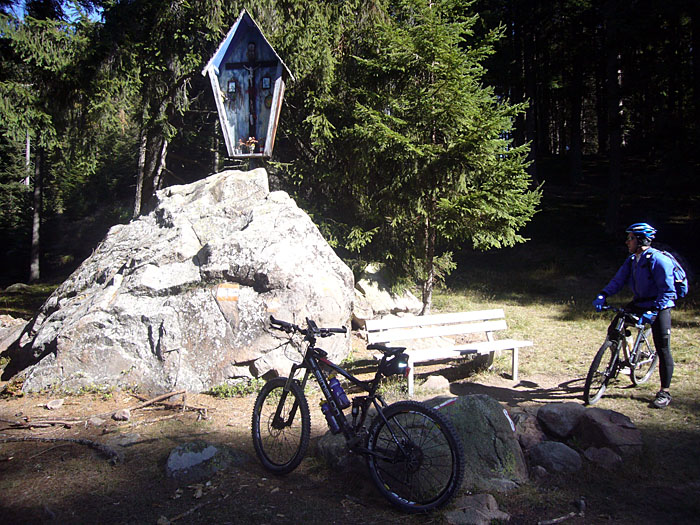 Bildstock im Wald