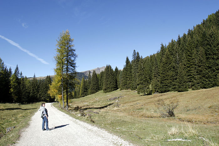Wander- und Radweg