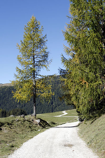 Wander- und Radweg