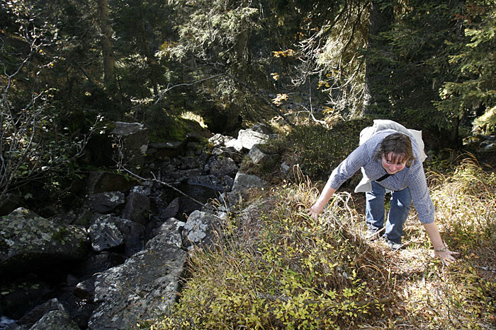Kletterpartie