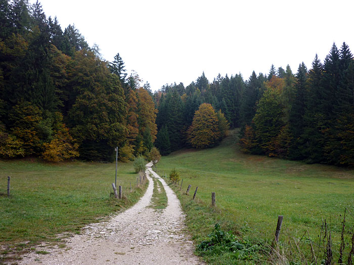 Bei dem Wetter ...