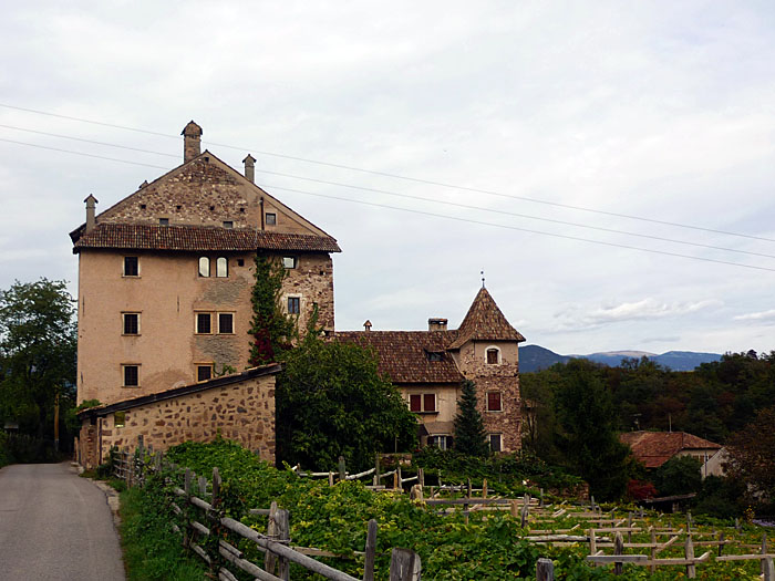 Burg Moos