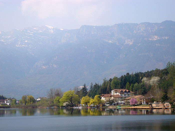 Die Bäume im Tal beginnen zu blühen