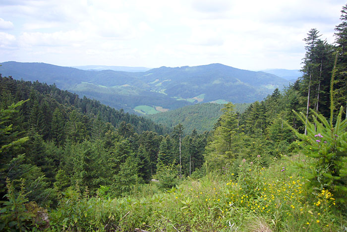 Schöne Aussicht!