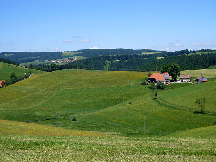 Blick vom Thurner