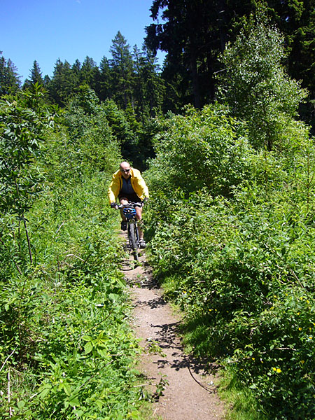 Trail ins Tal