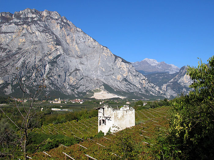 Verfallenes H&auml;uschen im Weinberg