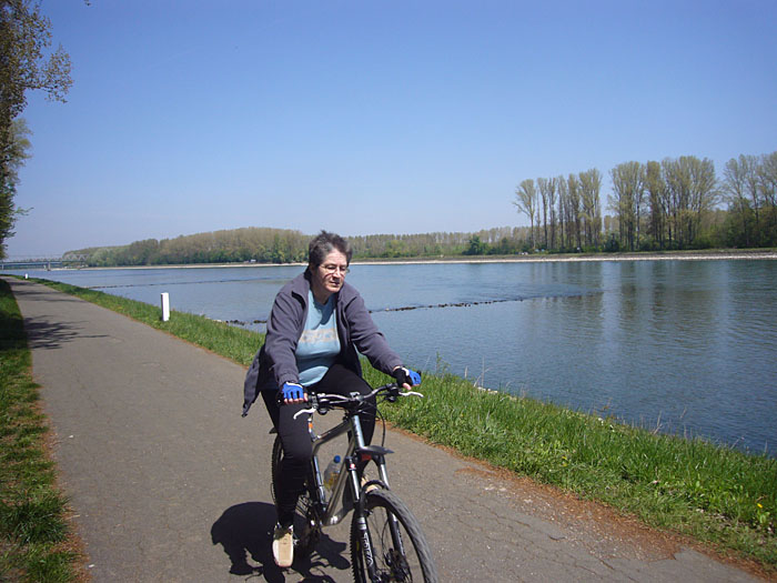 Der Rheinradweg auf der Pfälzer Seite