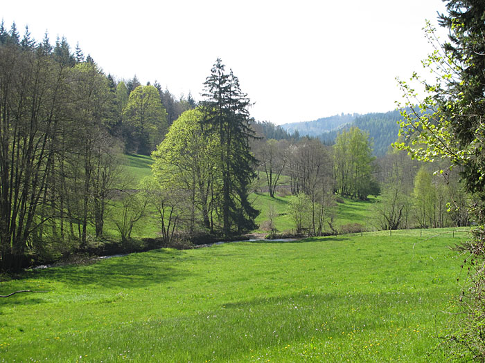 Der Frühling zeigt seine Farben