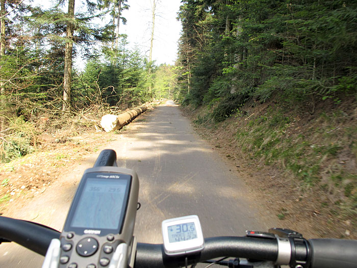 Östlicher Albtalweg