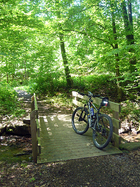 Brücke im Wald