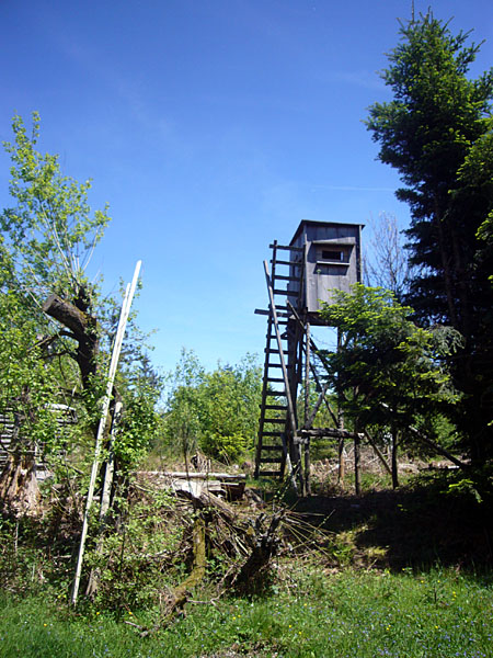 An der Mauzensteige