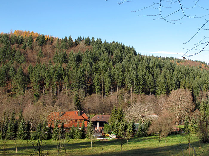 Schönes Schwarzwaldwetter
