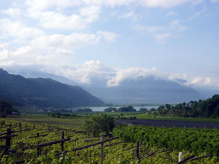 Der Kalterer See