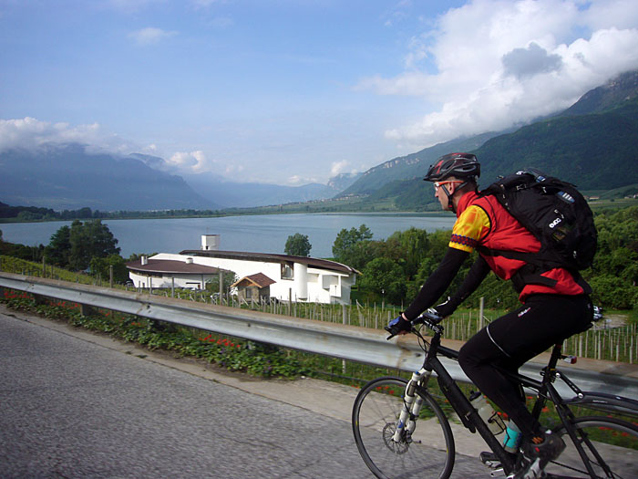 Björn mit Blick auf den See